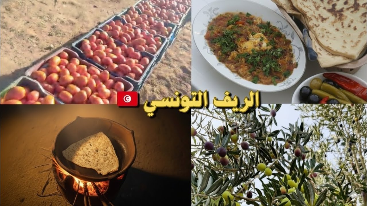 جولة في أحضان الريف التونسي 🇹🇳 ملاوي تونسية 🇹🇳 طايبة على الحطب  تعمل الكيف 👌👌