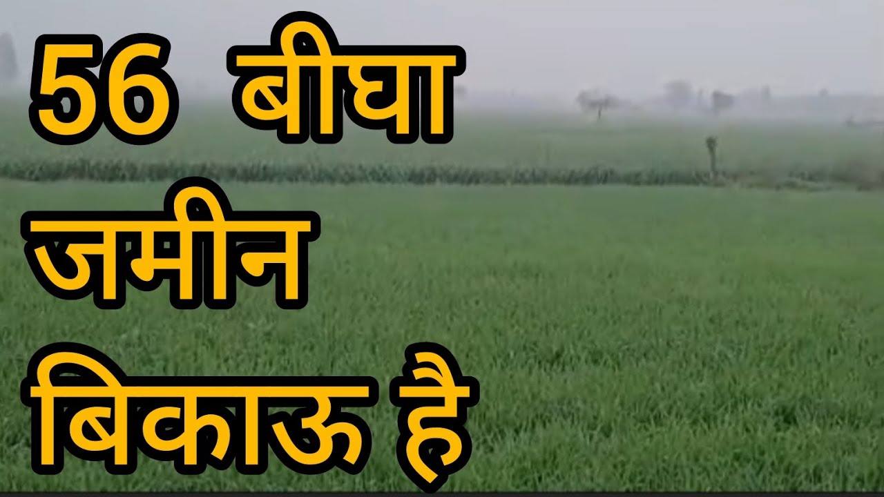 56 बीघा जमीन बिकाऊ है | UP Sambhal | Real Estate/Property 