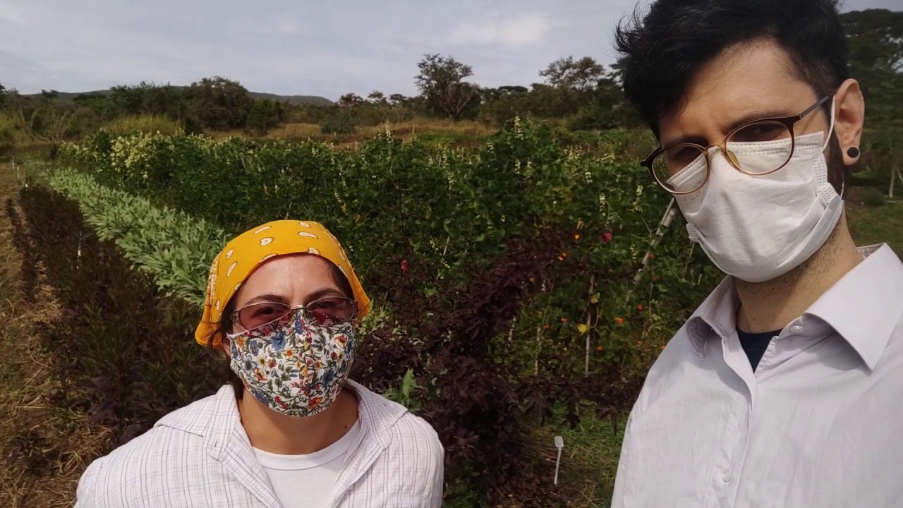 Inova na Horta - apresenta&ccedil;&atilde;o de a&ccedil;&otilde;es na quarentena