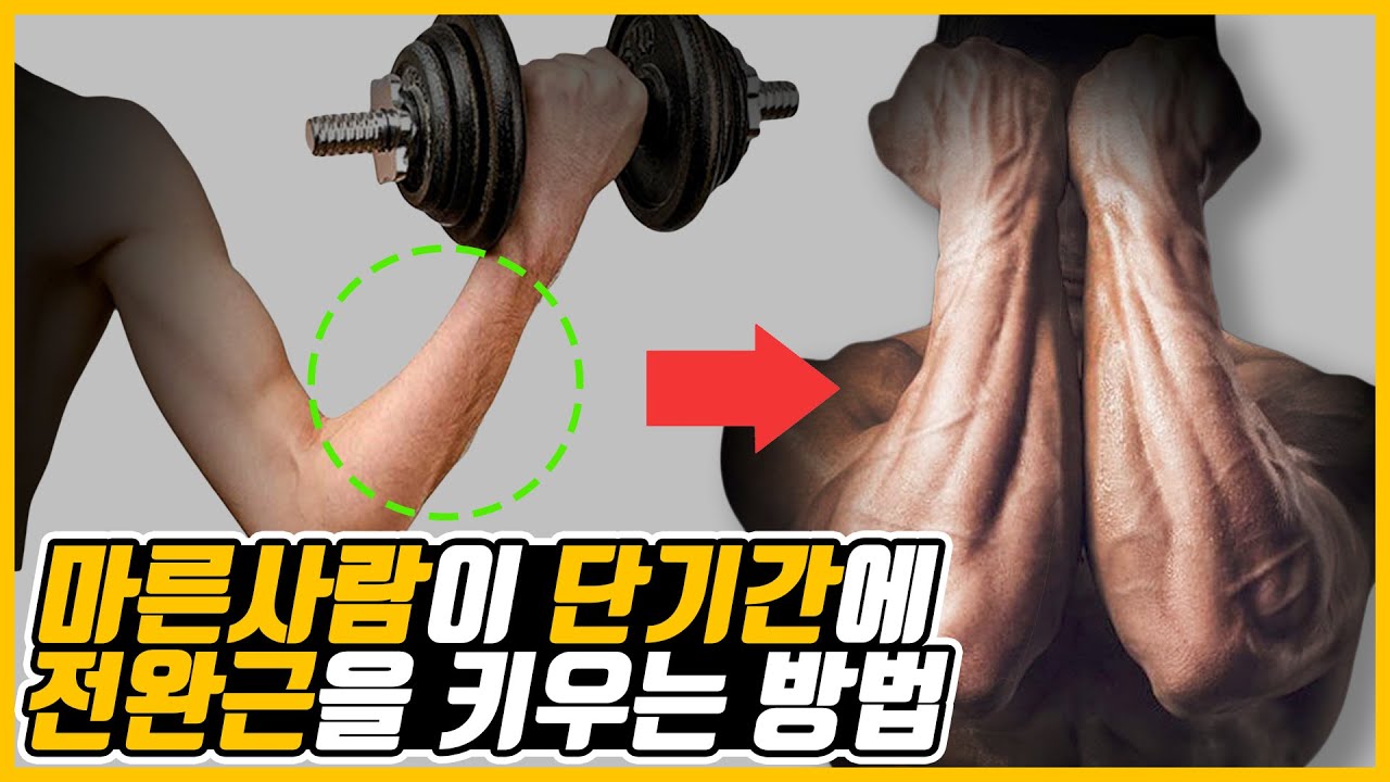 가장 좋은 전완근 운동만 모아왔어!ㅣ가시팔 왕팔 만들기