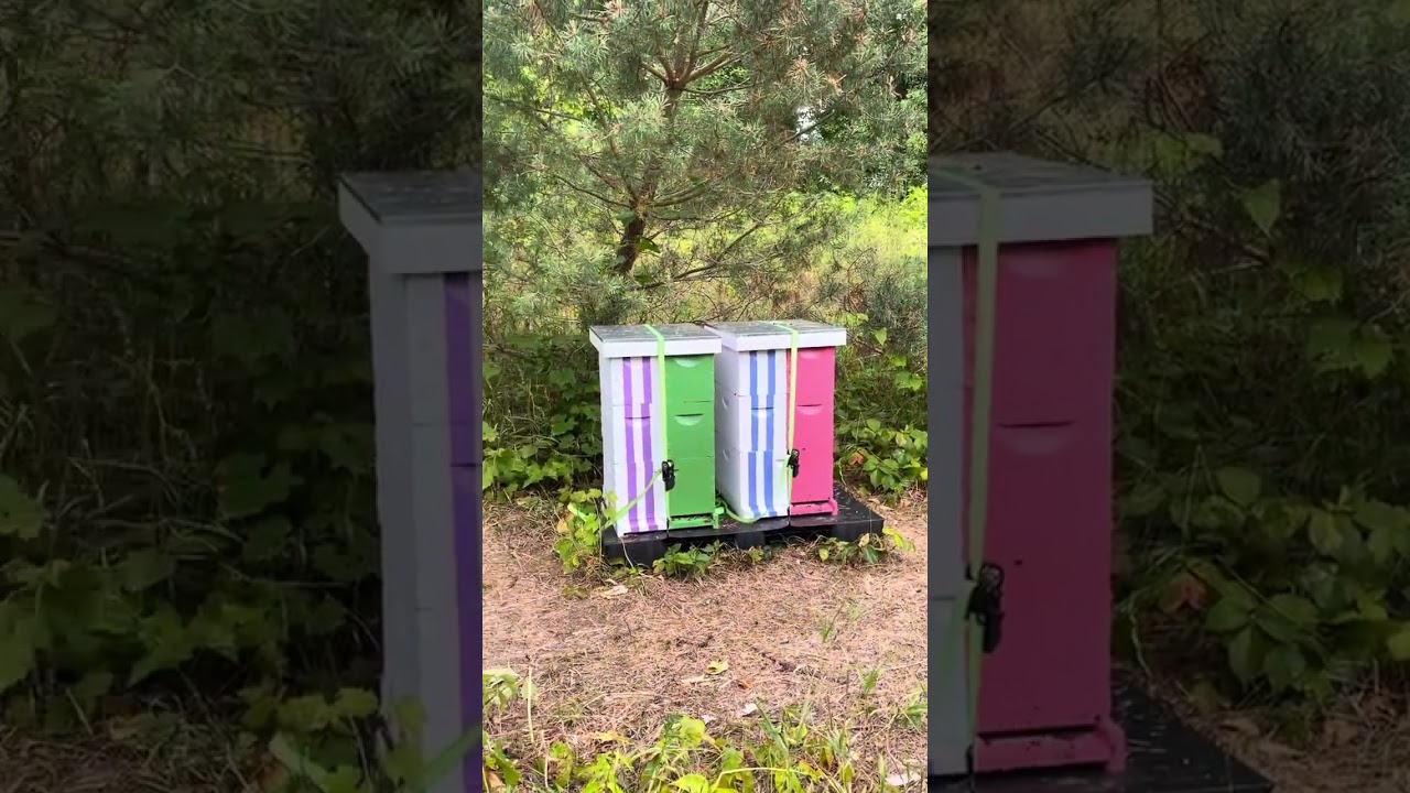 “Amuthasurabi Apiary” Garden of Aden beekeeper, Biodynamic honey bee farm 