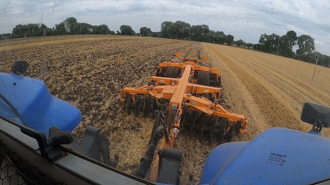 Simba Solo in Action , trying to beet the weather
