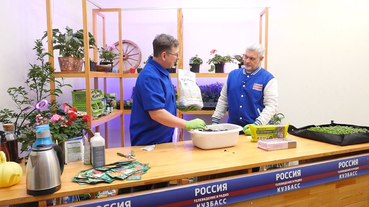 Вести.Интервью: Владислав Кундасёв, агроном
