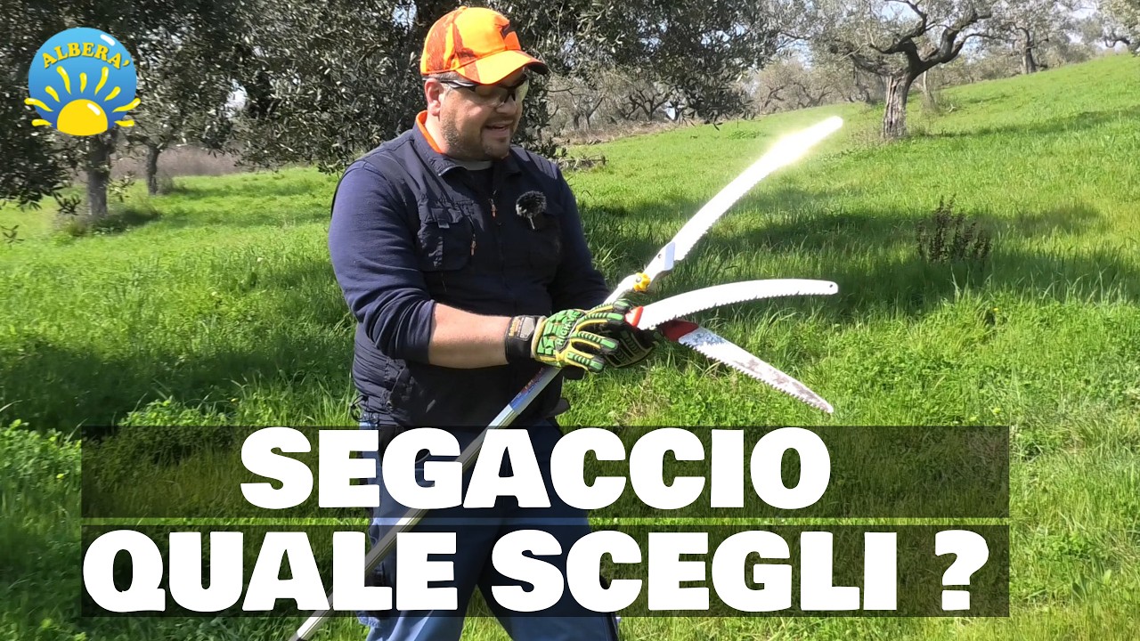 (SEGACCIO)  quale scegli? Lama Curva, Lama Dritta, Serramanico, Segaccio su asta telescopica...etc.