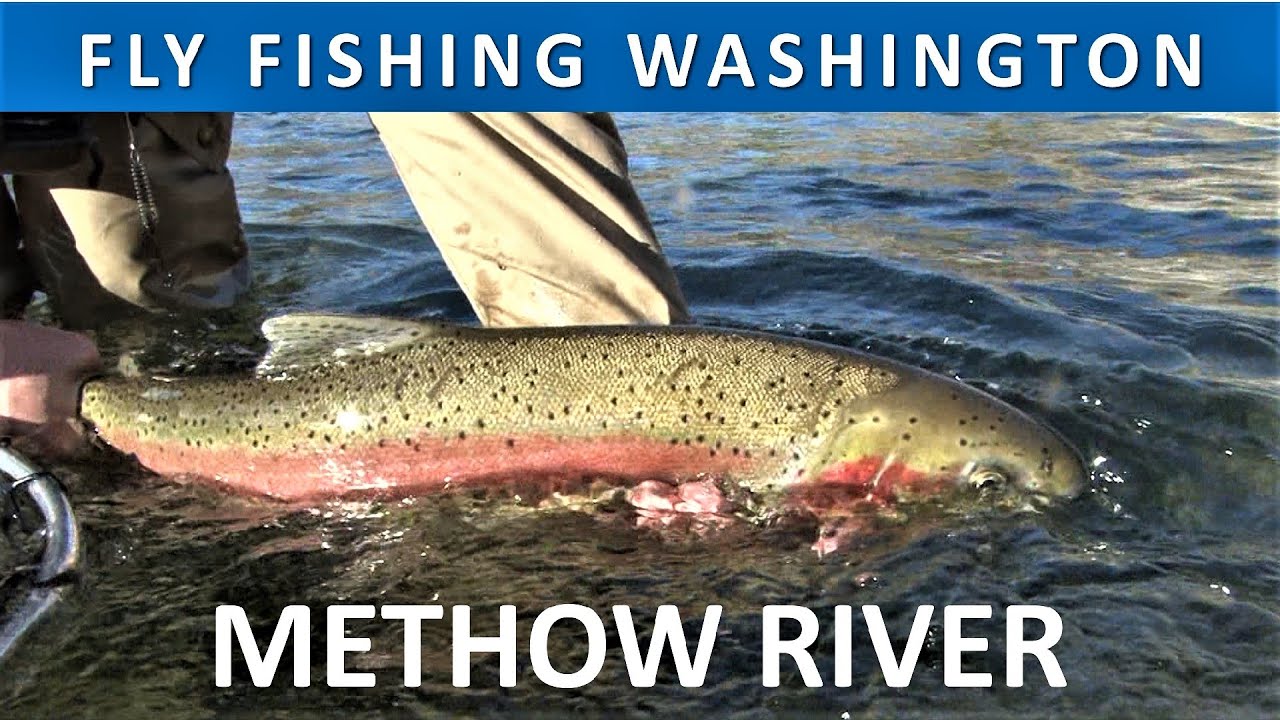 Fly Fishing Washington's Methow River for Steelhead [Series Episode #11]