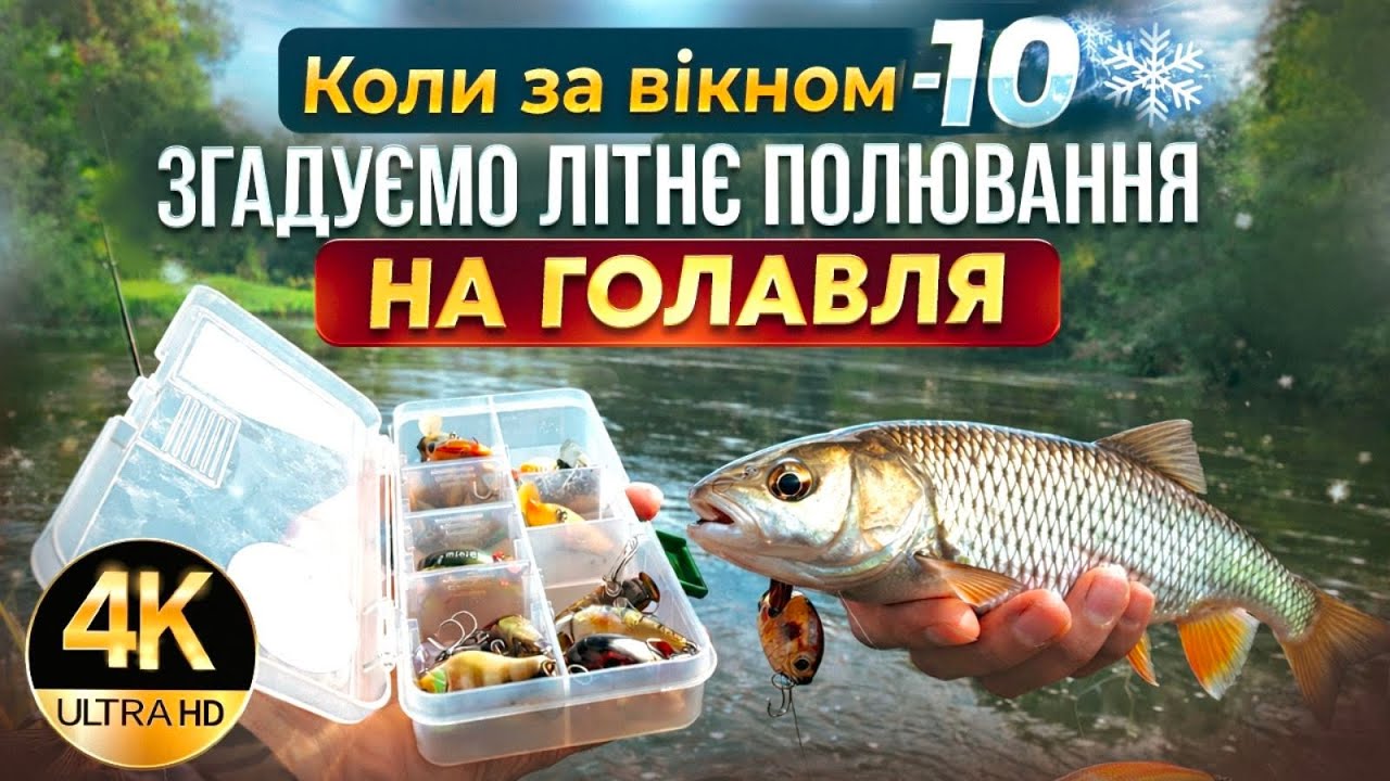 ​Зігріває в морози: Спекотна ловля голавля в забродку
