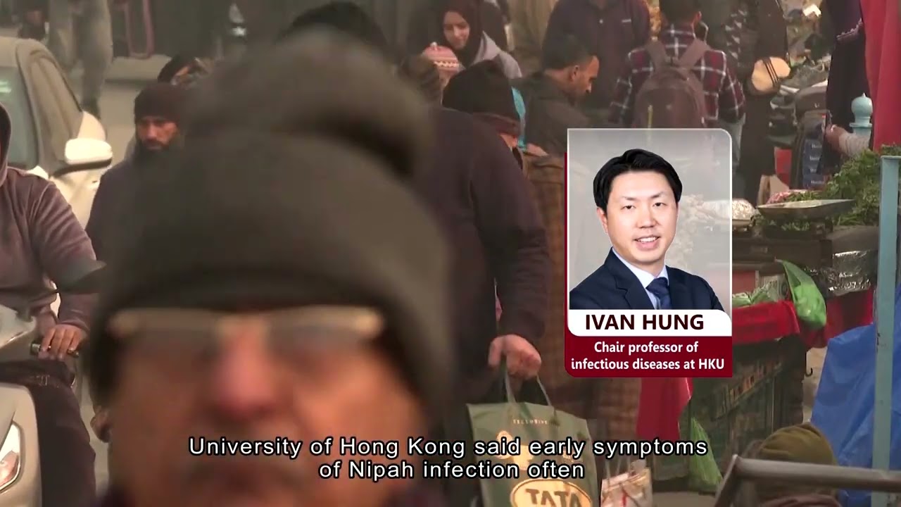 Health experts say low risk of Nipah virus in Hong Kong | HOY International Business Channel