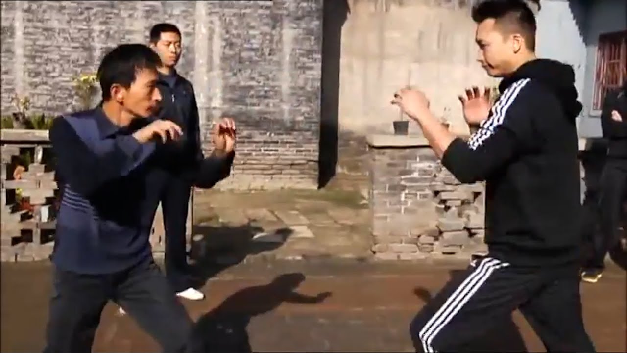 Monkey Kungfu Has Great Showdown vs Wing Chun (PVT Sifu Jerry And Phillip Ng)