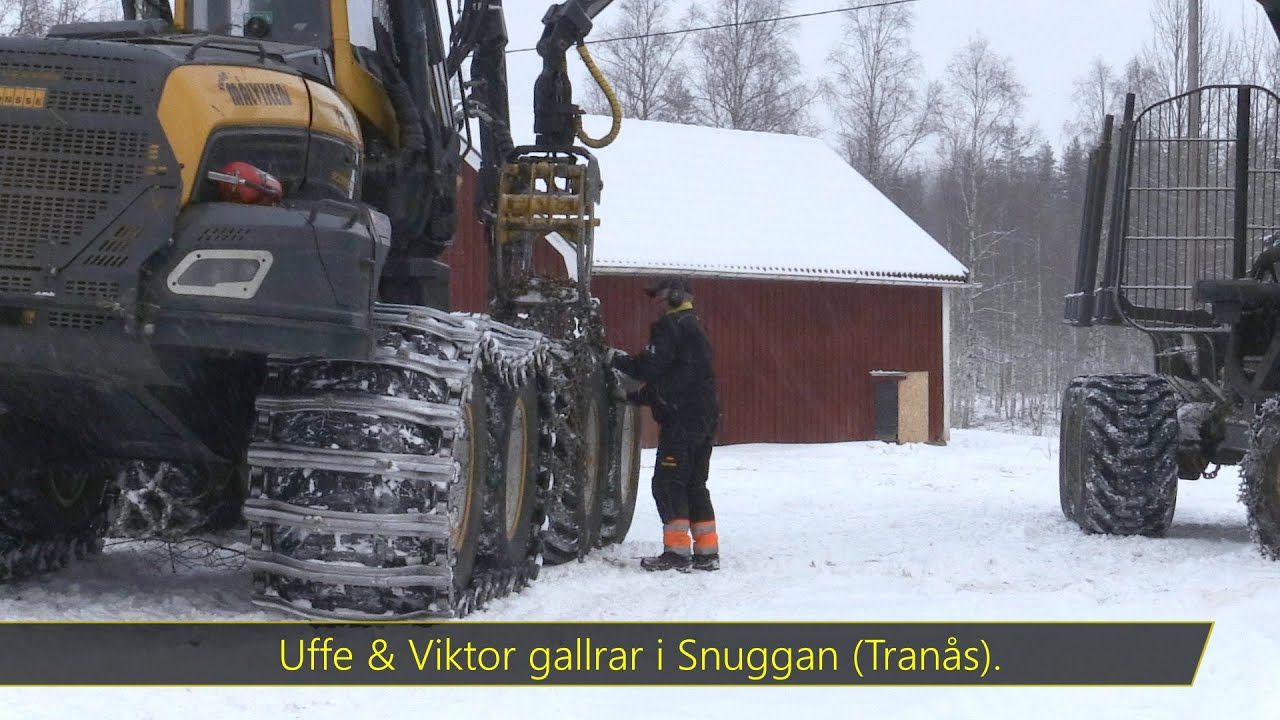 Uffe o Viktor gallrar i Snuggan!