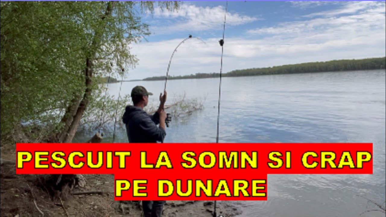 In cautarea pestelui mare pe zona Giurgiu!