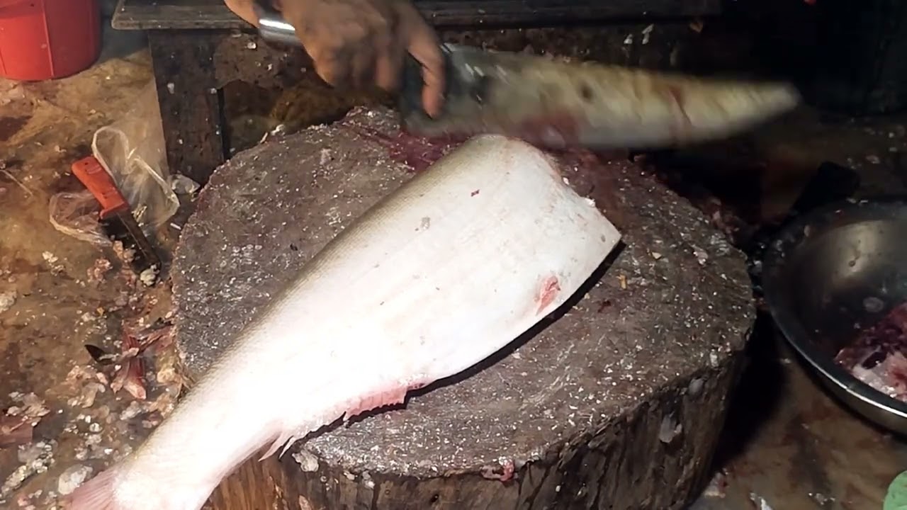 বড় সিলভার কাপ ফিশ কাটিং | Silver Cup Fish Cutting.