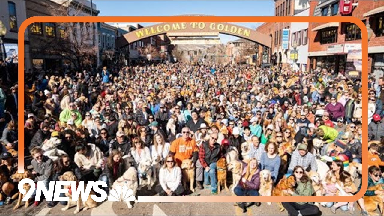 Thousands of golden retrievers gather in Golden