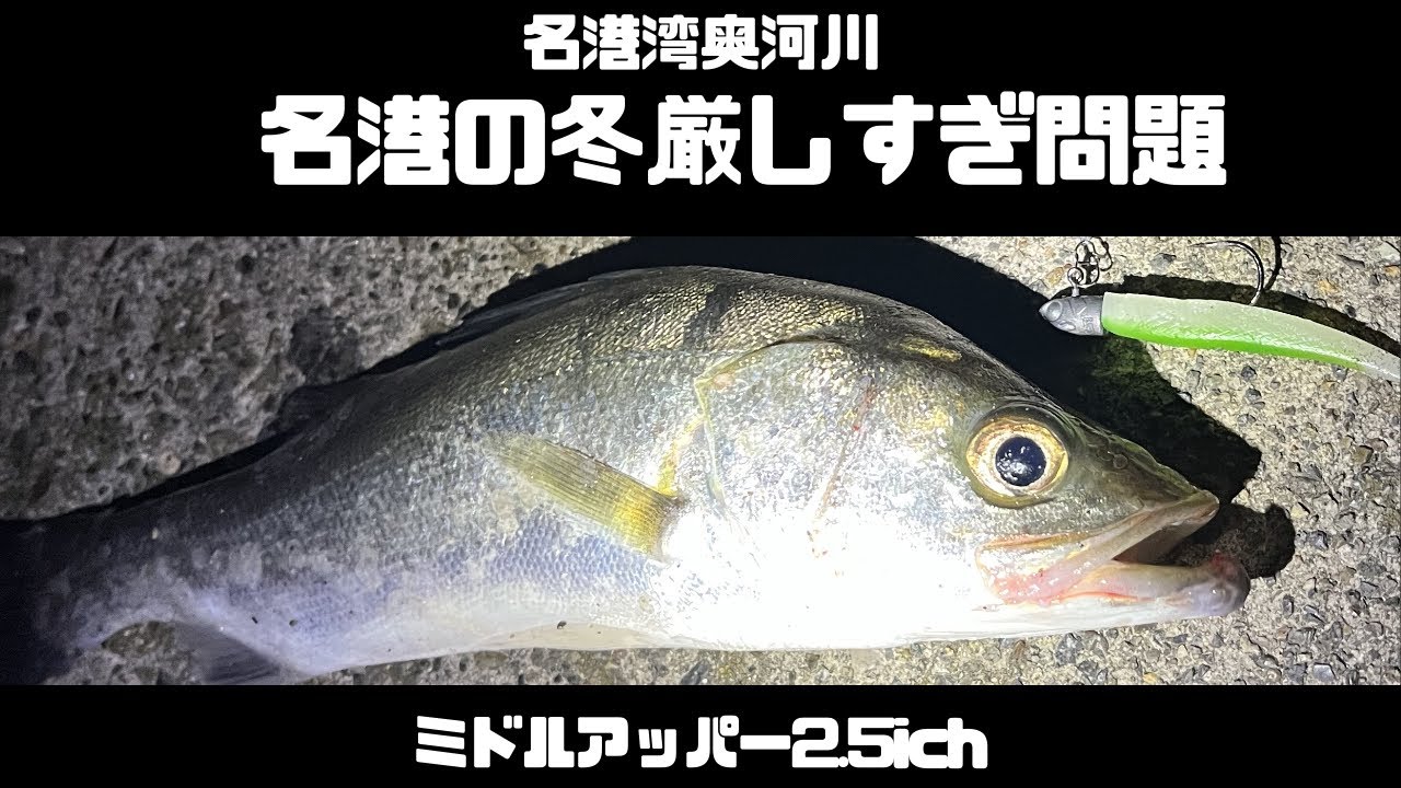名港湾奥河川　厳寒期にミドルアッパーで小シーバス釣る