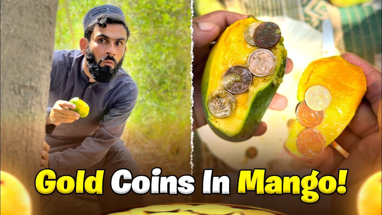 Gold Coins in Mango!