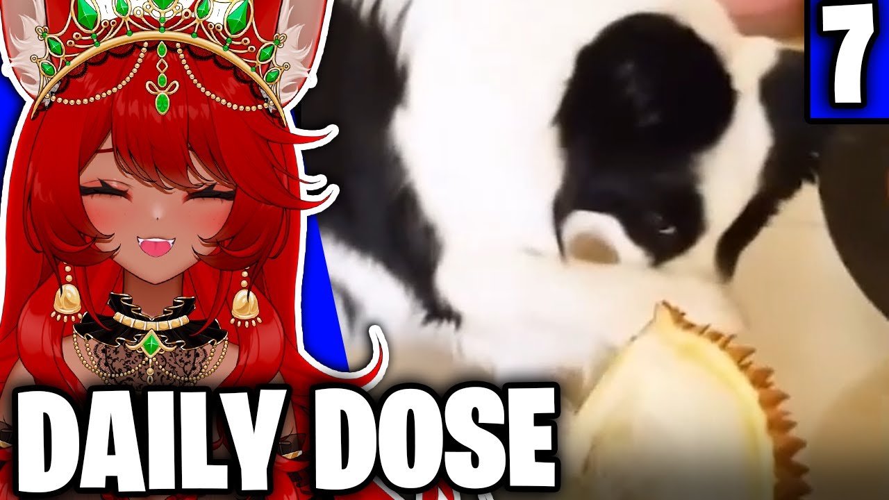 STINKY !! | Daily Dose of Internet Reaction