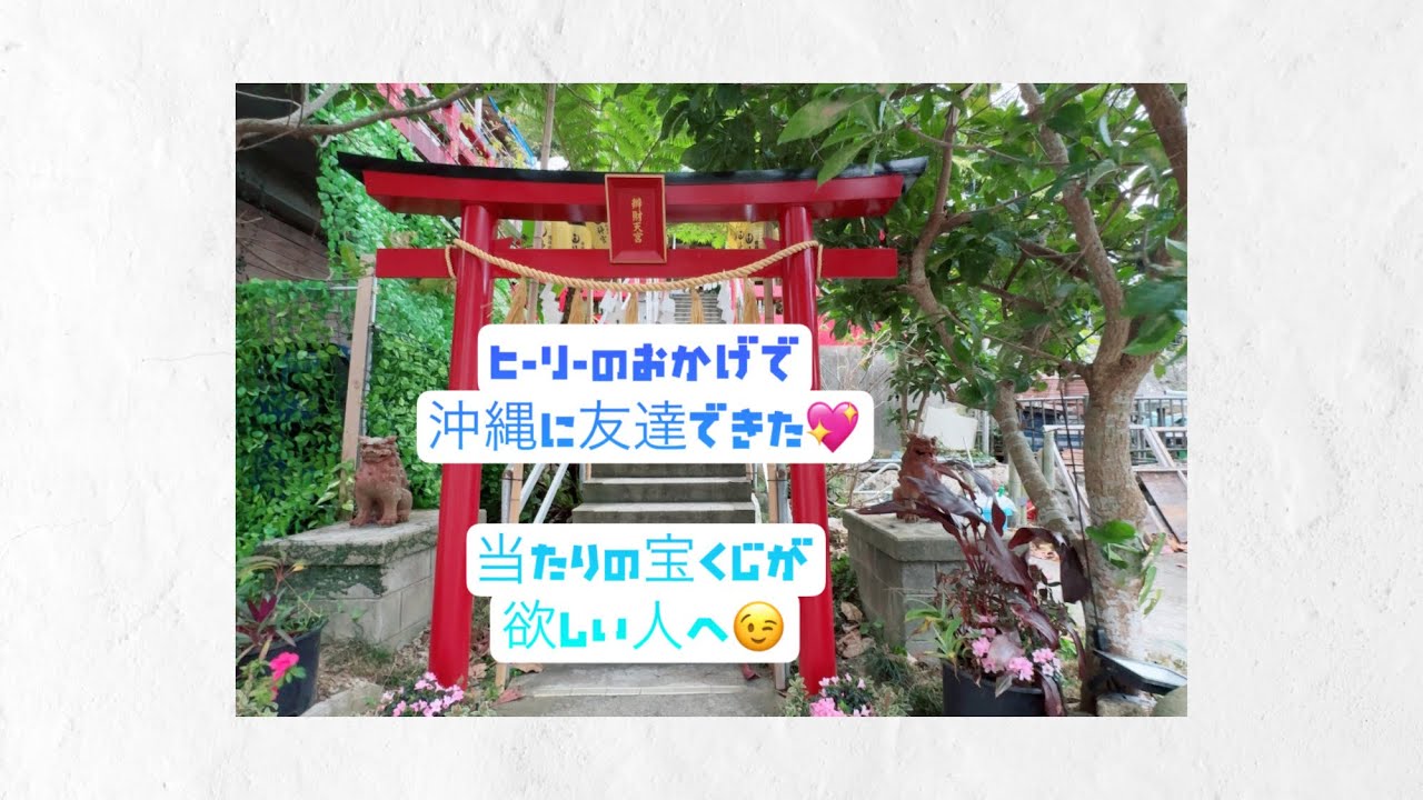 当たりの宝くじを捨てる人っているのかな💖？ヒーリーのおかげで沖縄にお友達できた😊