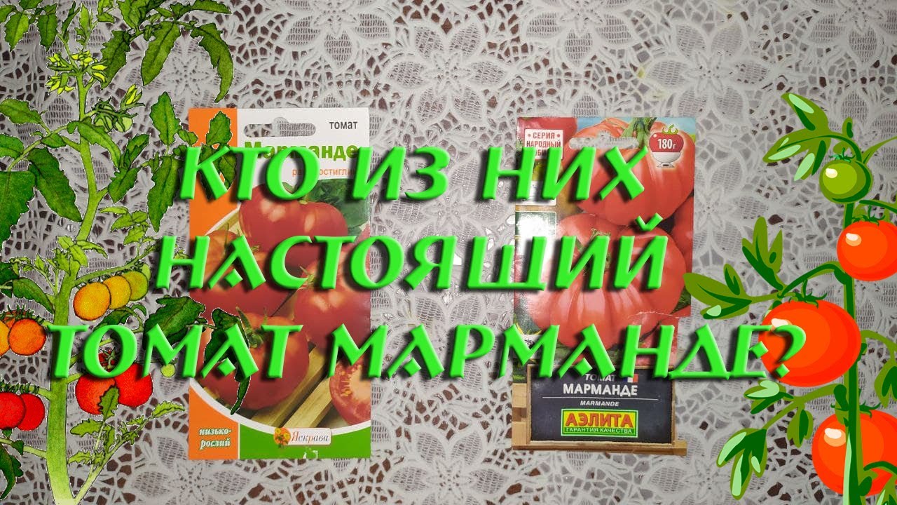 Какой из них действительно настоящий томат Марманде?
