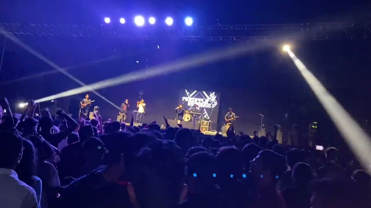 Pineapple Express live | Iicm 2022