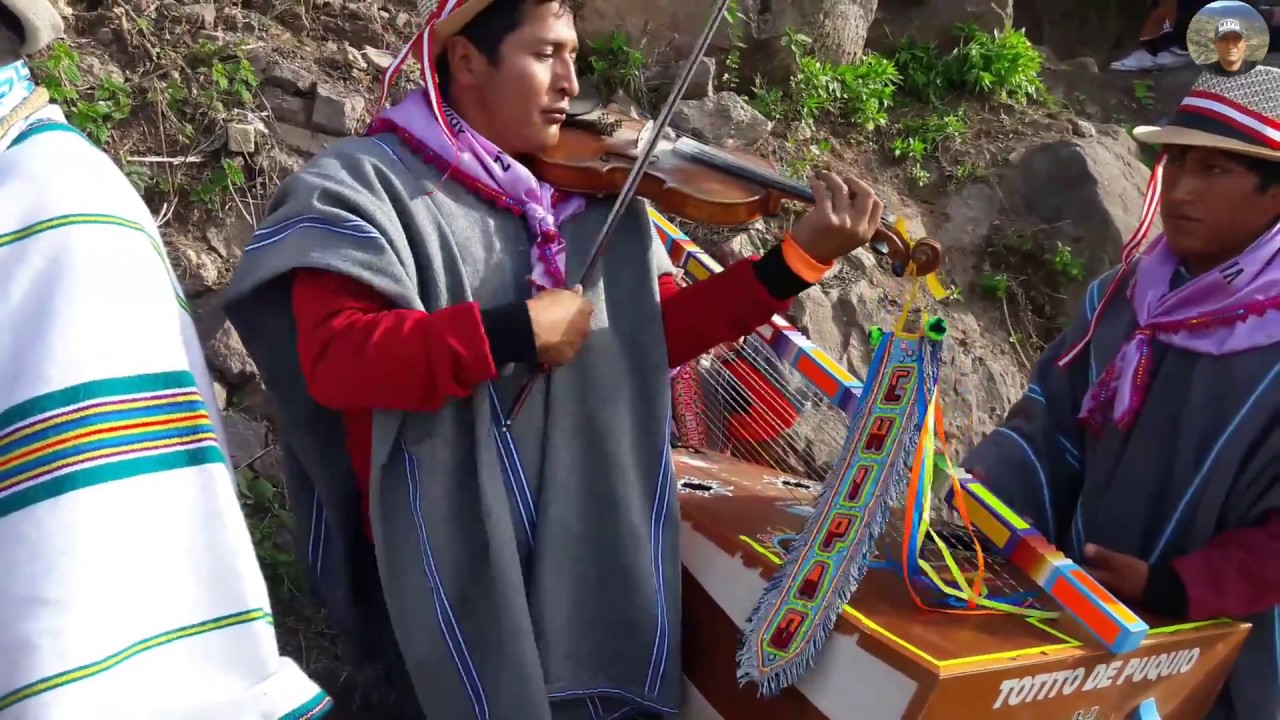 JARANA CON ARPA Y VIOLIN/SAN ANDRES 2018