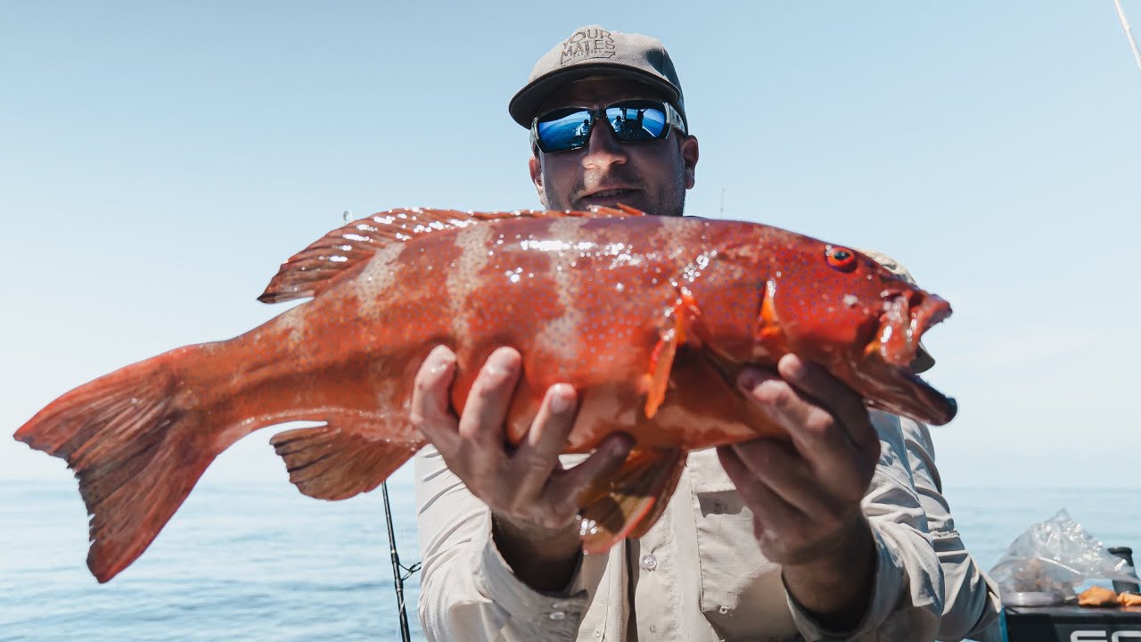 Fishing Yeppoon, Keppel Islands for Shimano King of Kings 2021 | Your Mates Brewing Co.