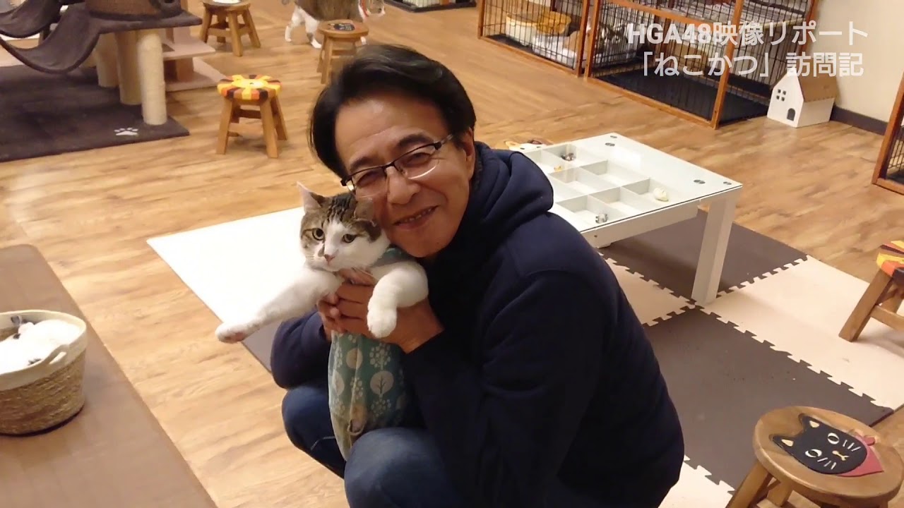 二本足エースくんのふるさと「ねこかつ 」訪問記🐱