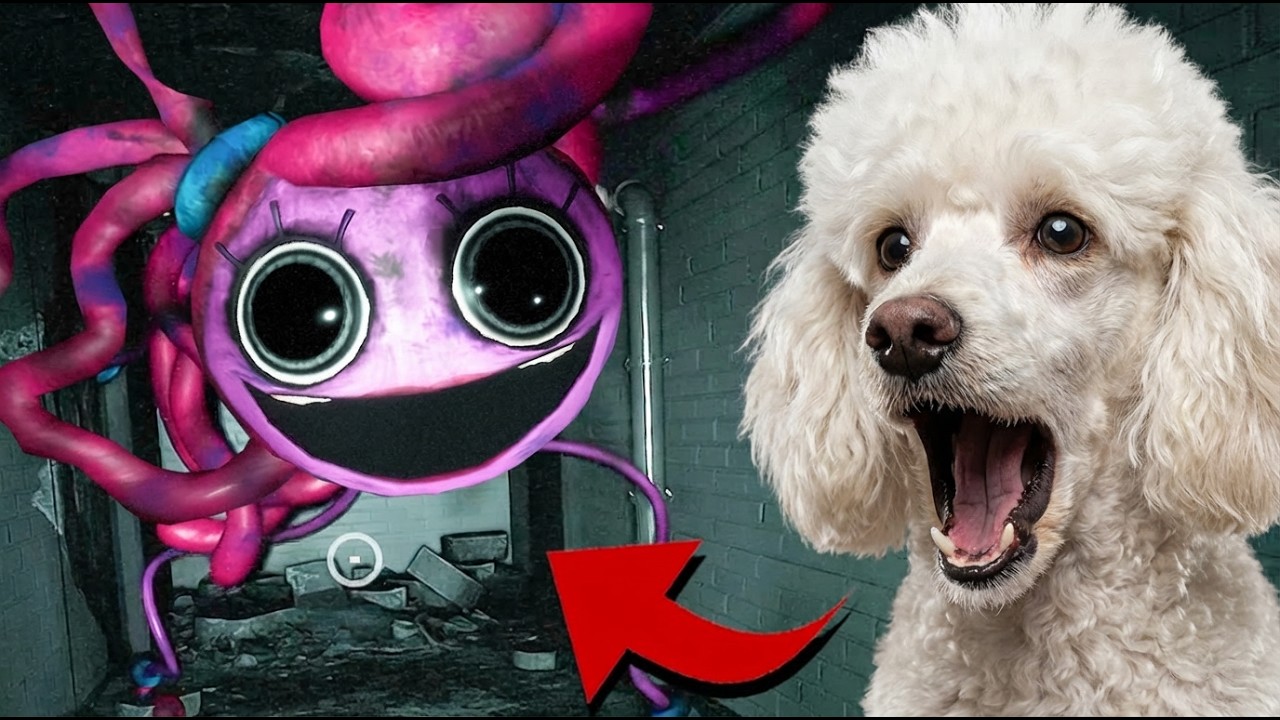 Pudlík musí plnit šílené úkoly od mámy dlouhé nohy😱🐩 ( Poppy Playtime 2)