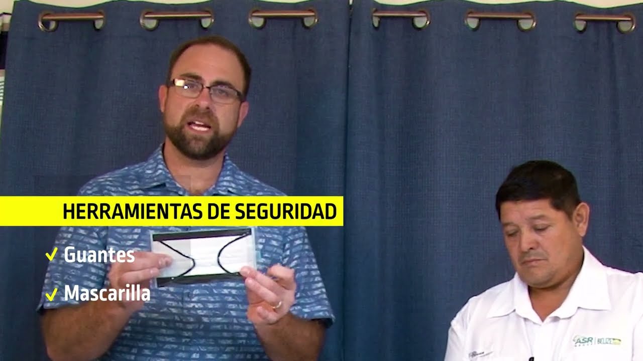 🎥 Tutorial de Trichoderma (Hazlo tú mismo)