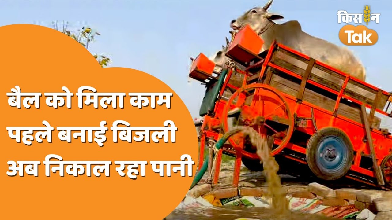 Shailendra Singh का कमाल, बिजली बनाने के बाद अब सिंचाई के लिए पानी निकाल रहे हैं बैल | Kisan Tak