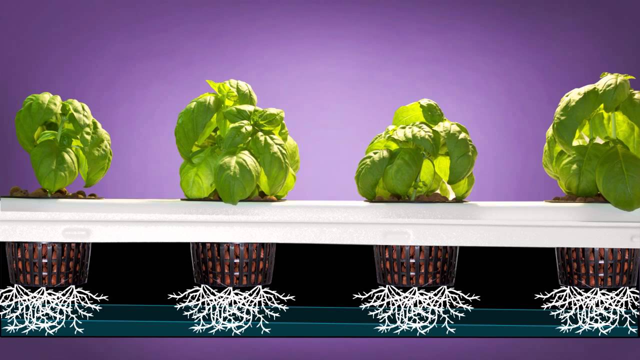 Aeroponics, how to Super Flow non-clogging aeroponics System!