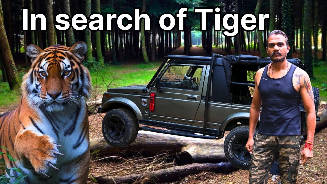 Camping In Tiger Territory | In Search Of Tiger | Night Camping Gone Wrong