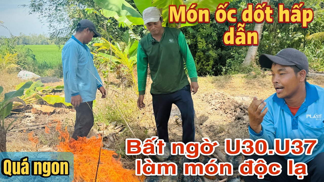 Bất ngờ với món ăn độc lạ của U30.U37 nướng ốc ăn quá hấp dẫn #u30 