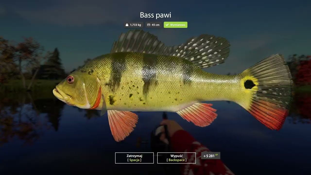 Russian Fishing 4 Bass pawi MMXXVI EXTRA