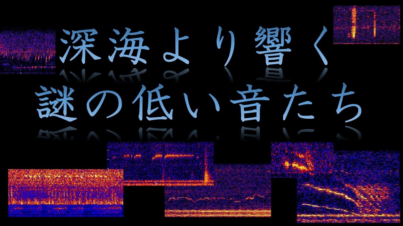 【海洋学】深海より響く謎の低い音たち【彩恵りり】