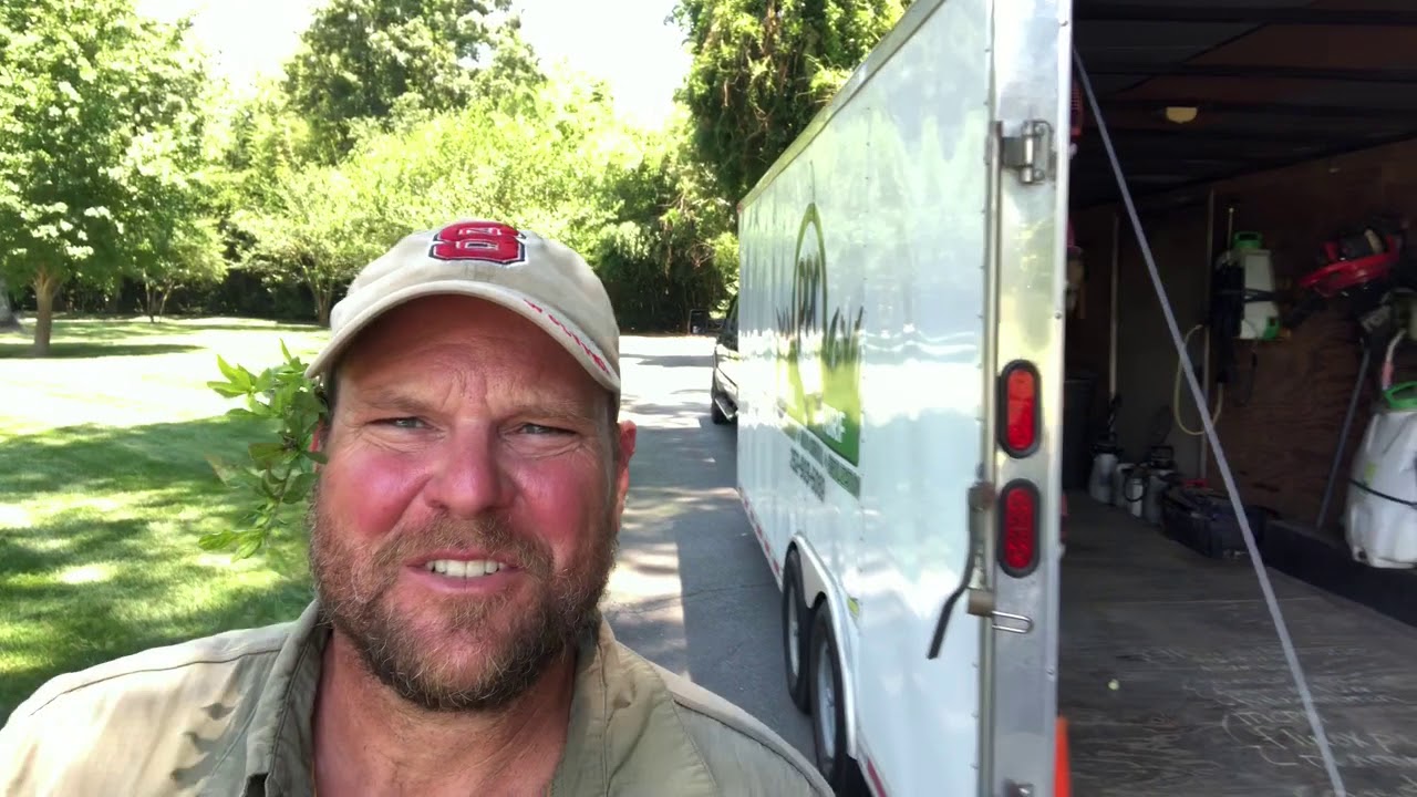 How To Control Virginia Button Weed