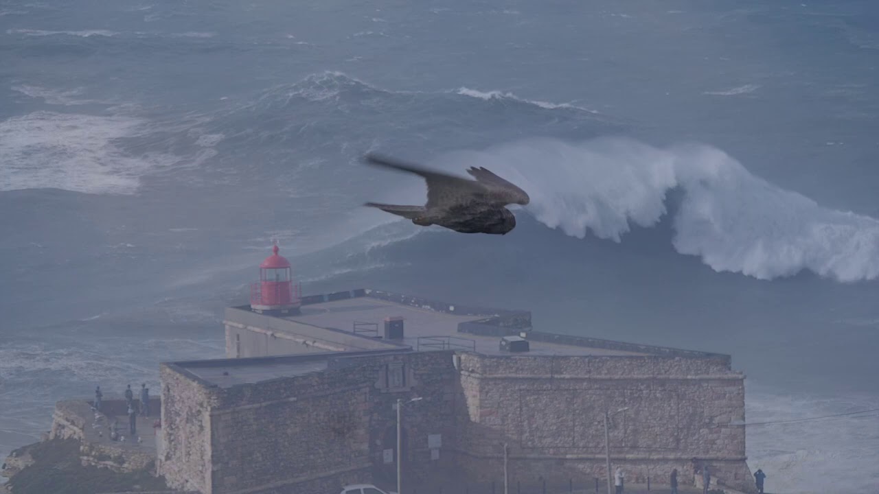 Empty Nazare is a Thing of Terror and Beauty