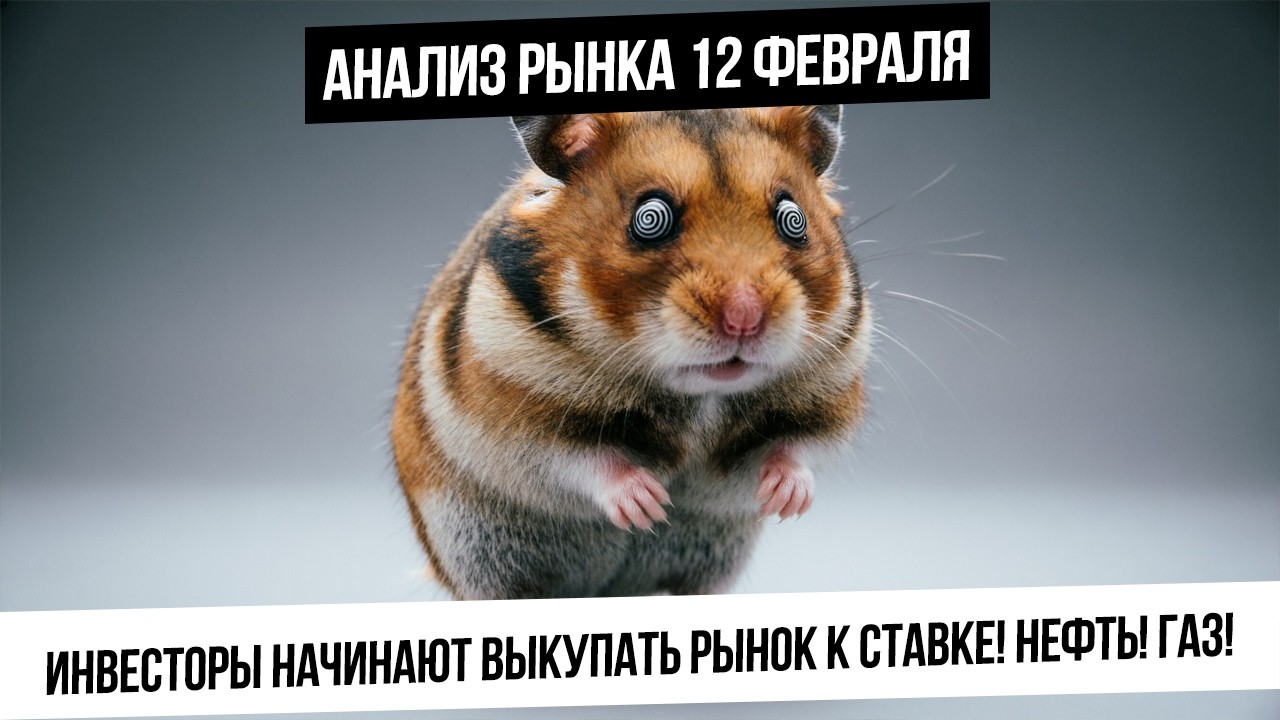 Анализ рынка 12 февраля. Плохие новости игнорируются? Идет покупка рынка под ставку! Газ! Нефть!