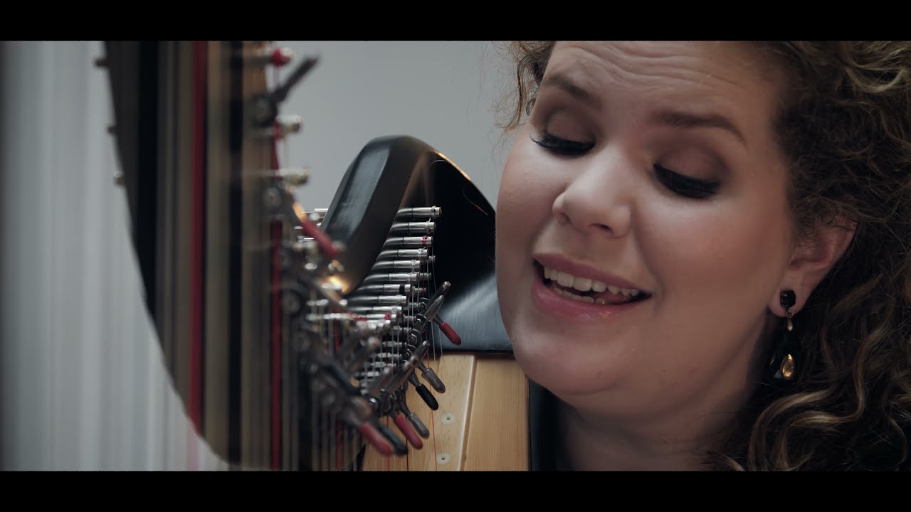I believe I can fly - (harpcover by Iris Kroes)