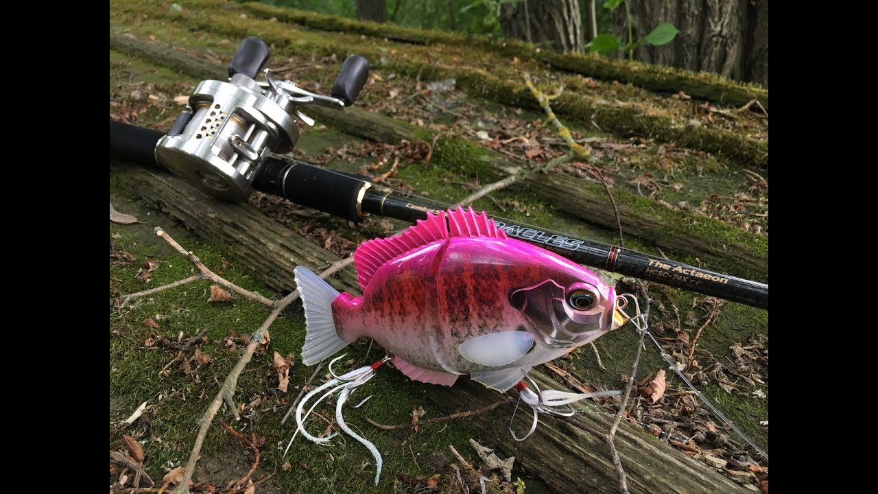 Ever Green Int. BREAM SLIDE - Vienna City Fishing