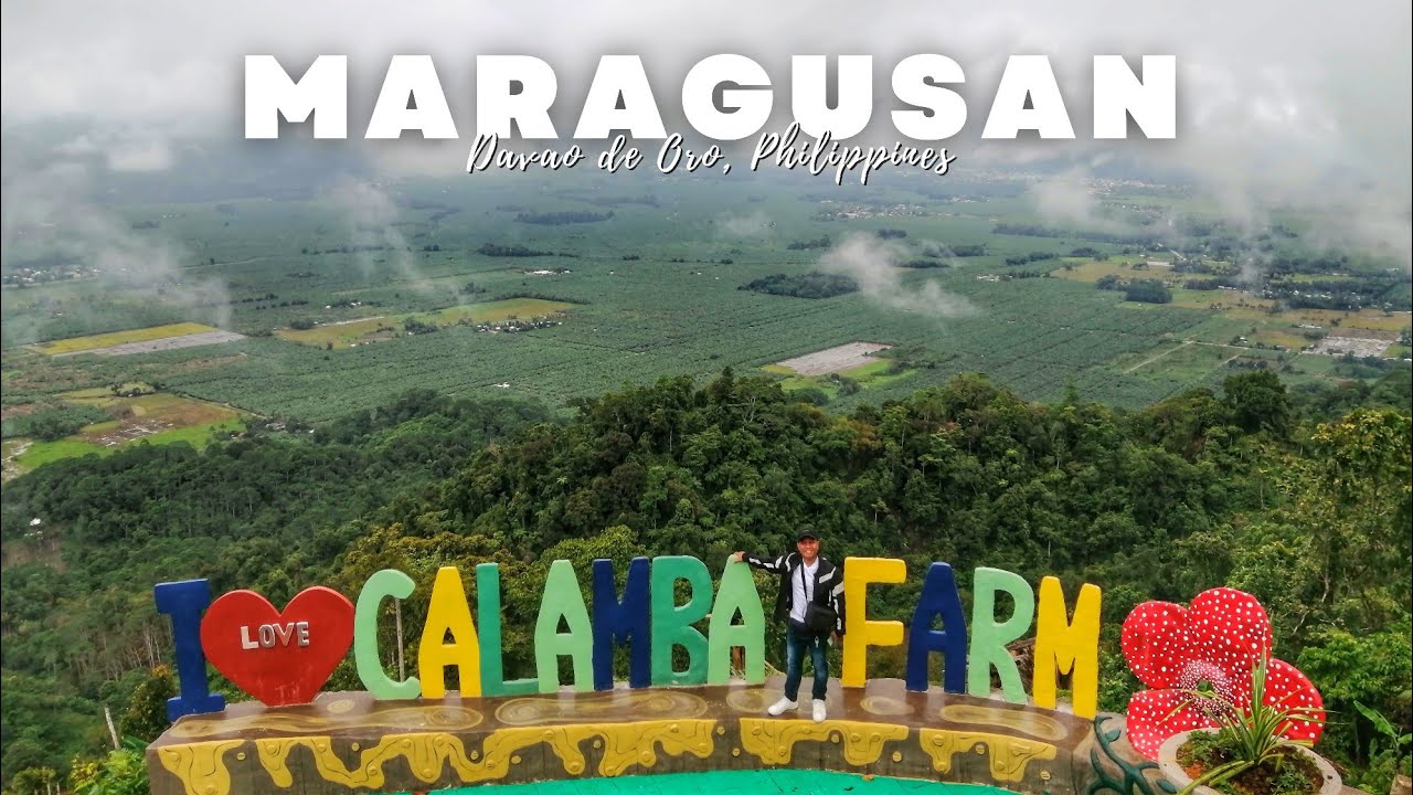 Best Places to Visit in Maragusan | Calamba Sea of Clouds + Kanlawig Hot Springs Resort