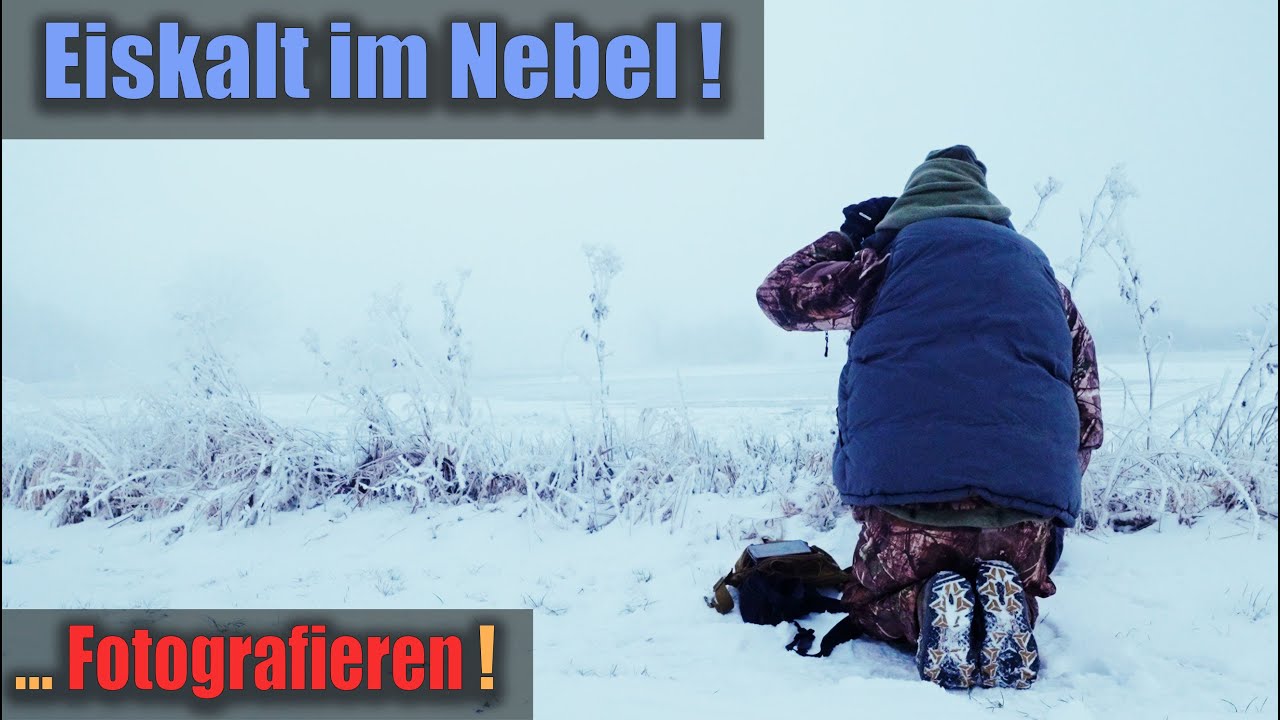 Arktisch kalt? Eisnebel! ❄️🌫️ Frozen Frames 📷