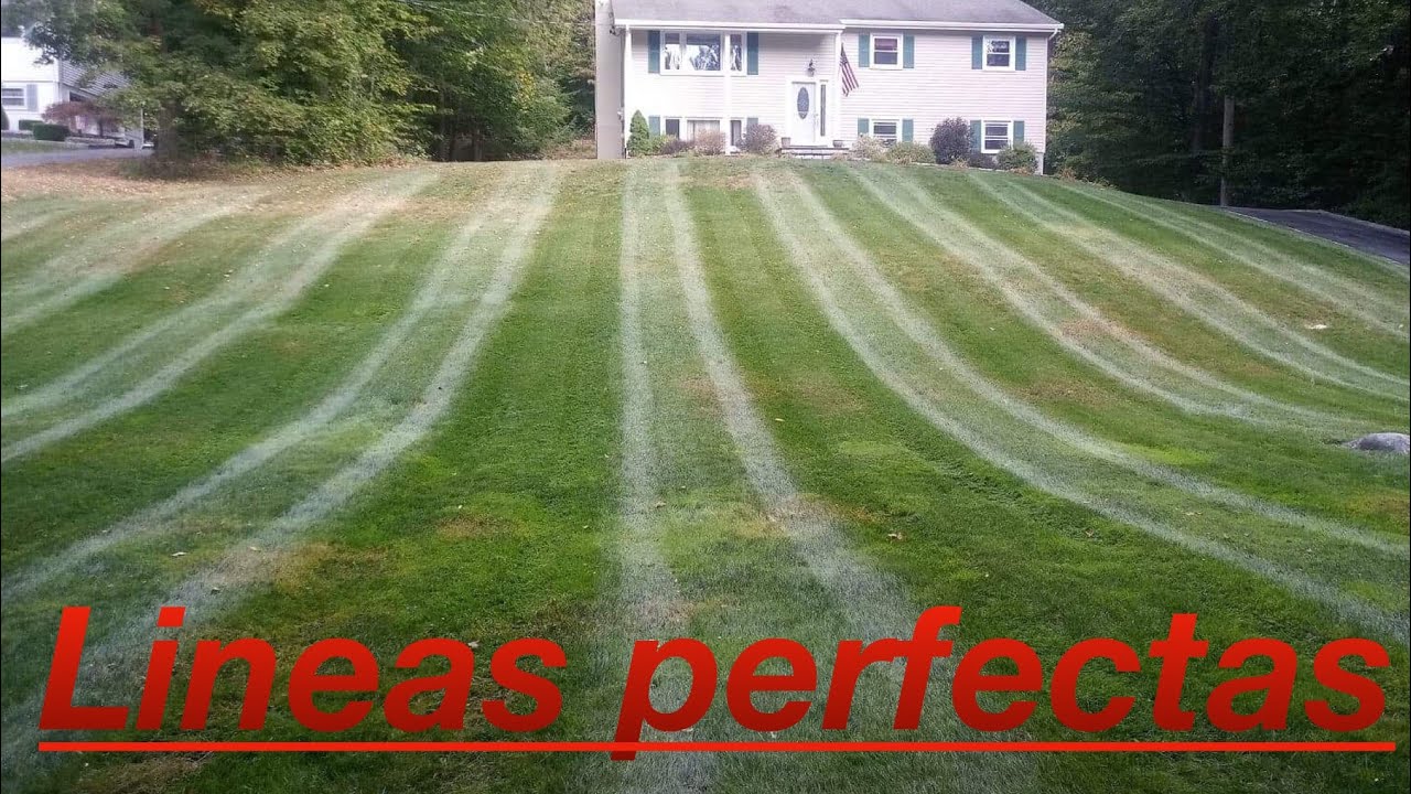 como marcar bien las lineas / consejos de jardineria