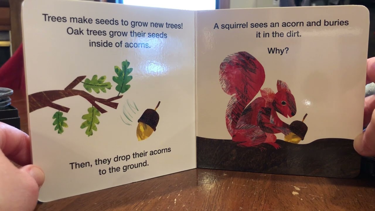 How Does A Seed Sprout?