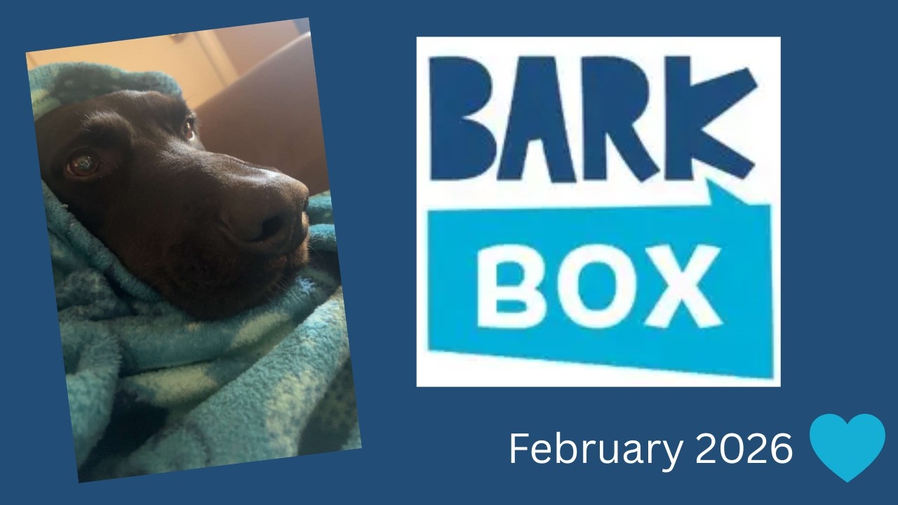 February 2026 Bark Box