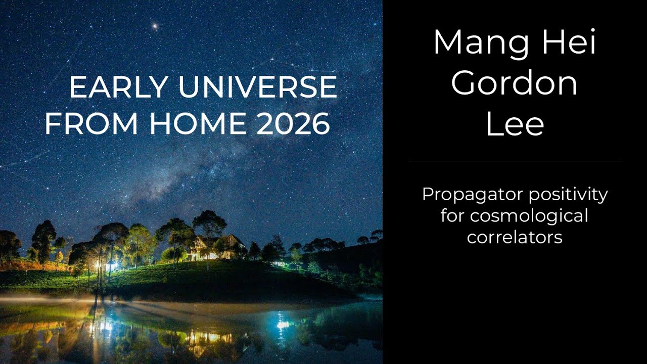 Mang Hei Gordon Lee - Propagator positivity for cosmological correlators