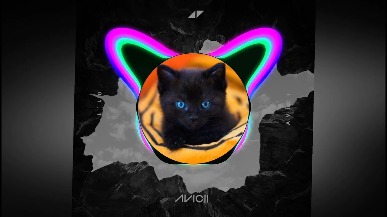 Avicii - Without you (DirtyPaws Remix)