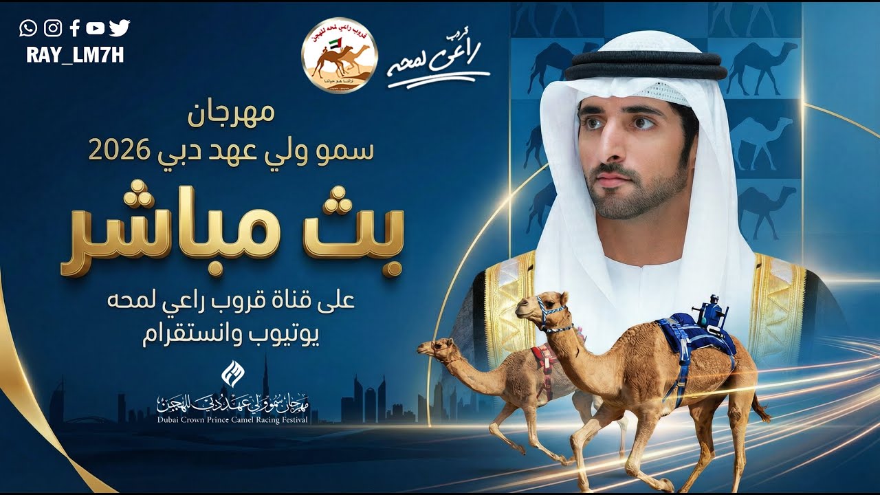 تشاهدون مهرجان سمو ولي عهد دبي 2026 رموز الثنايا لهجن ابناء القبائل - الفترة المسائية- 2026/01/20 )