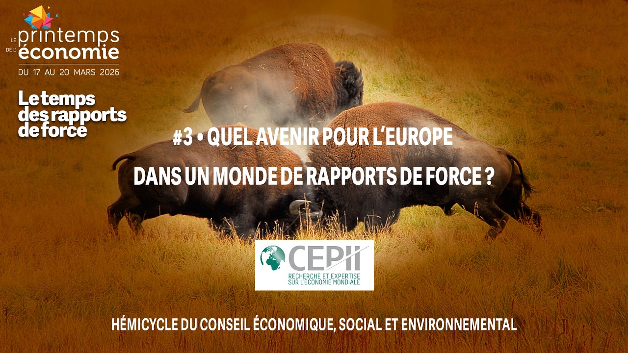 #3 Quel avenir pour l’Europe dans un monde de rapports de force ?