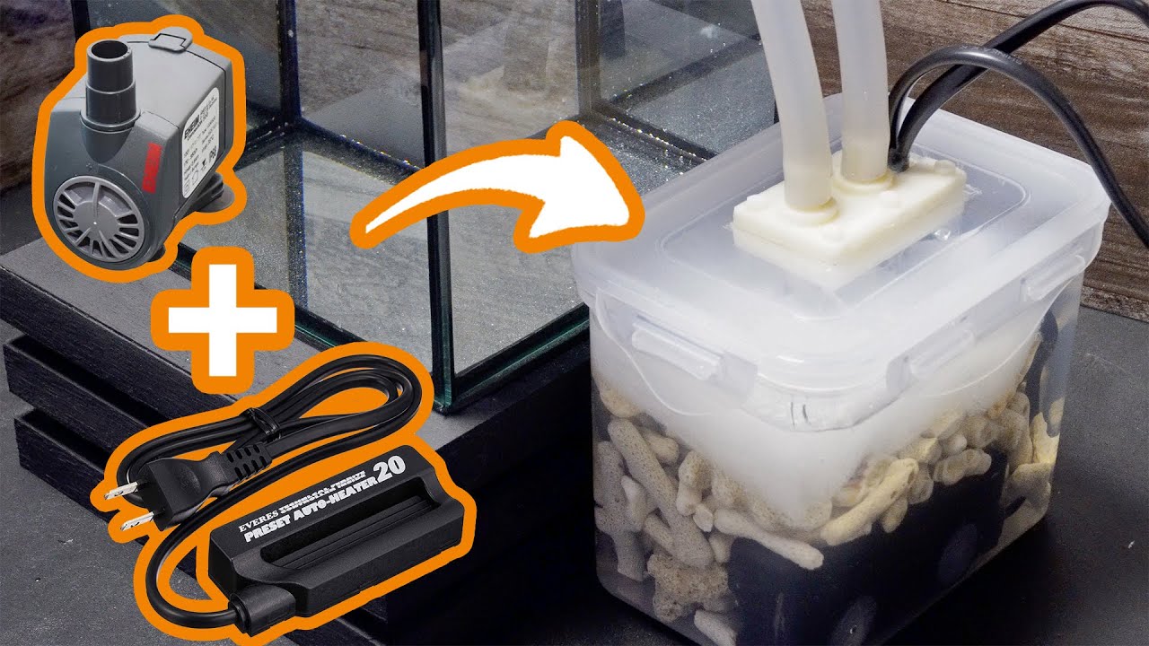 【熱帯魚】ヒーター内蔵の外部フィルターを100均のタッパーで自作する【海水魚】
