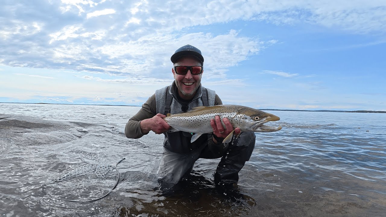 Seatrout Flyfishing in Norway- Orvis Helios D