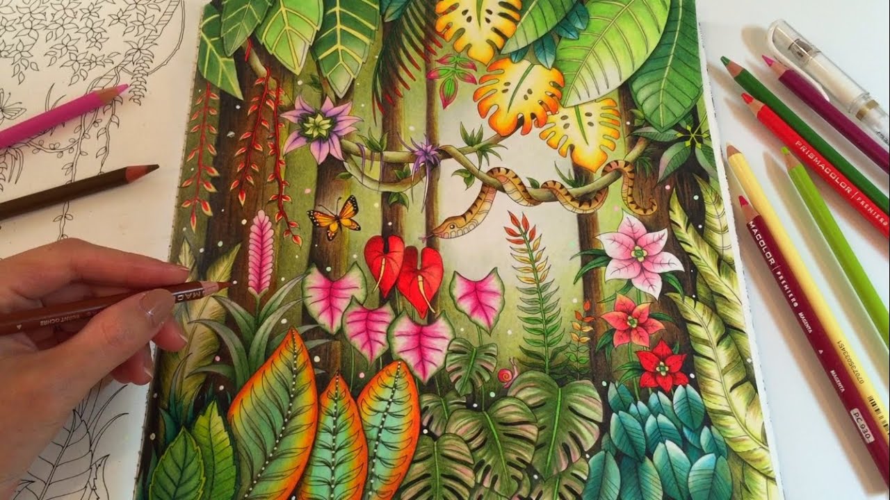 MAGICAL JUNGLE | Adult Coloring Book by Johanna Basford | Coloring With Colored Pencils